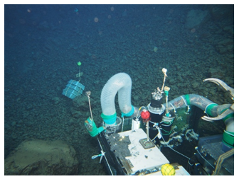 Exposure testing of specimens on deep seafloor(image courtesy of JAMSTEC)