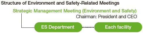 Structure of Environment and Safety-Related Meetings