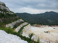 苅田鉱山「様々な樹木が茂り始め、自然を取り戻しつつある石灰石鉱山」植樹の様子